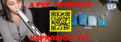 гашик Кингисепп