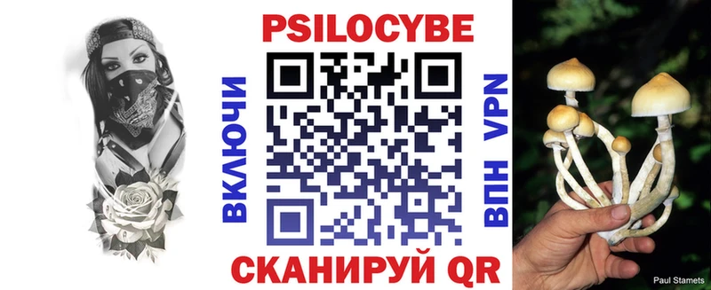 Псилоцибиновые грибы GOLDEN TEACHER  mega как войти  Касимов 