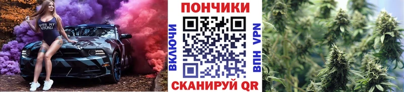 где продают   Касимов  Марихуана сатива 